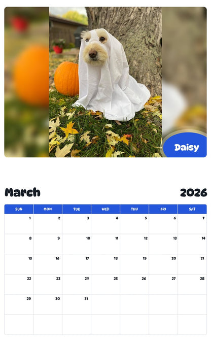 November 2025 - October 2026 Daisy - Pawidols Pet Calendar