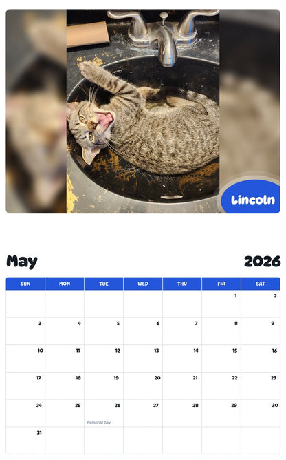 2026 - 2027 Lincoln - Pawidols Pet Calendar