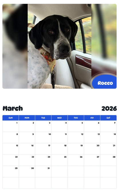 November 2025 - October 2026 Rocco - Pawidols Pet Calendar