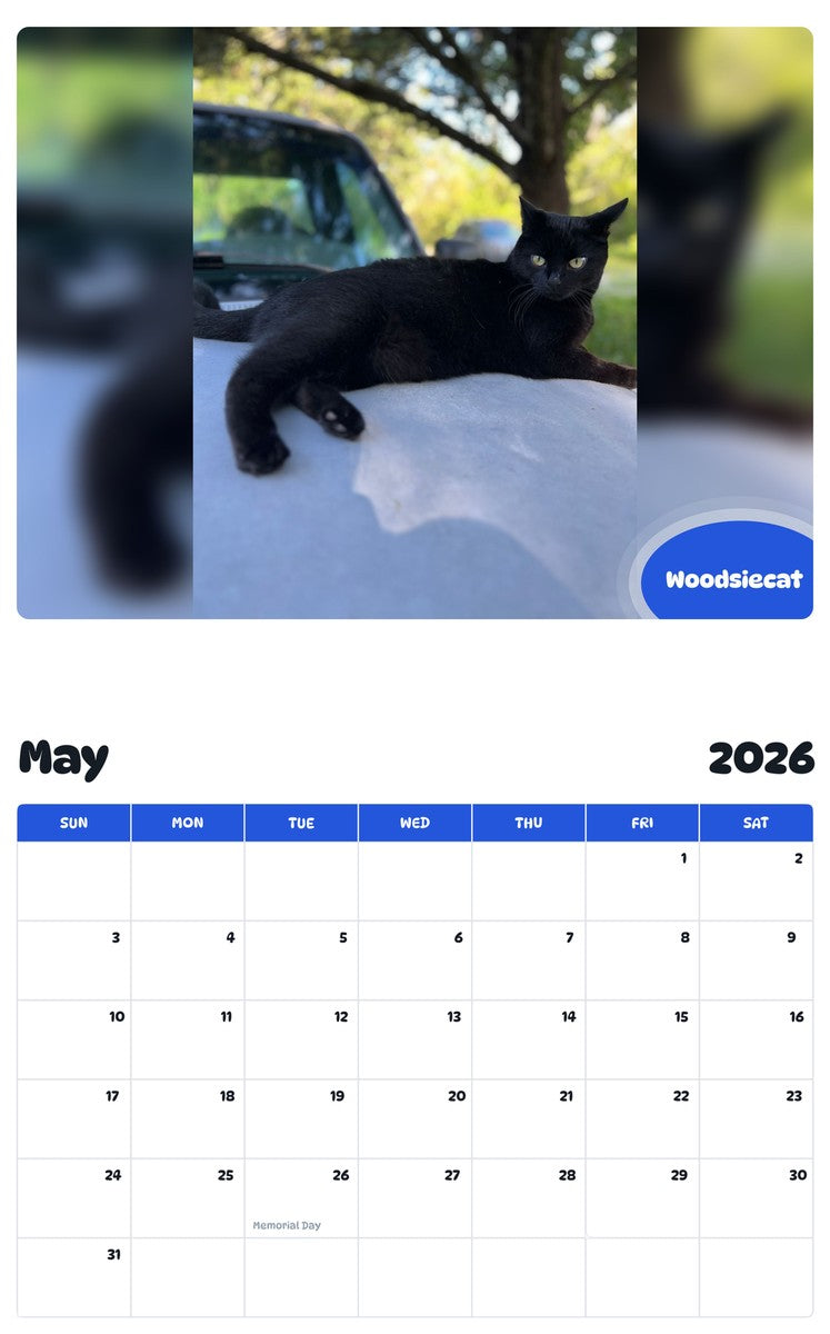 2026 - 2027 Woodsiecat - Pawidols Pet Calendar