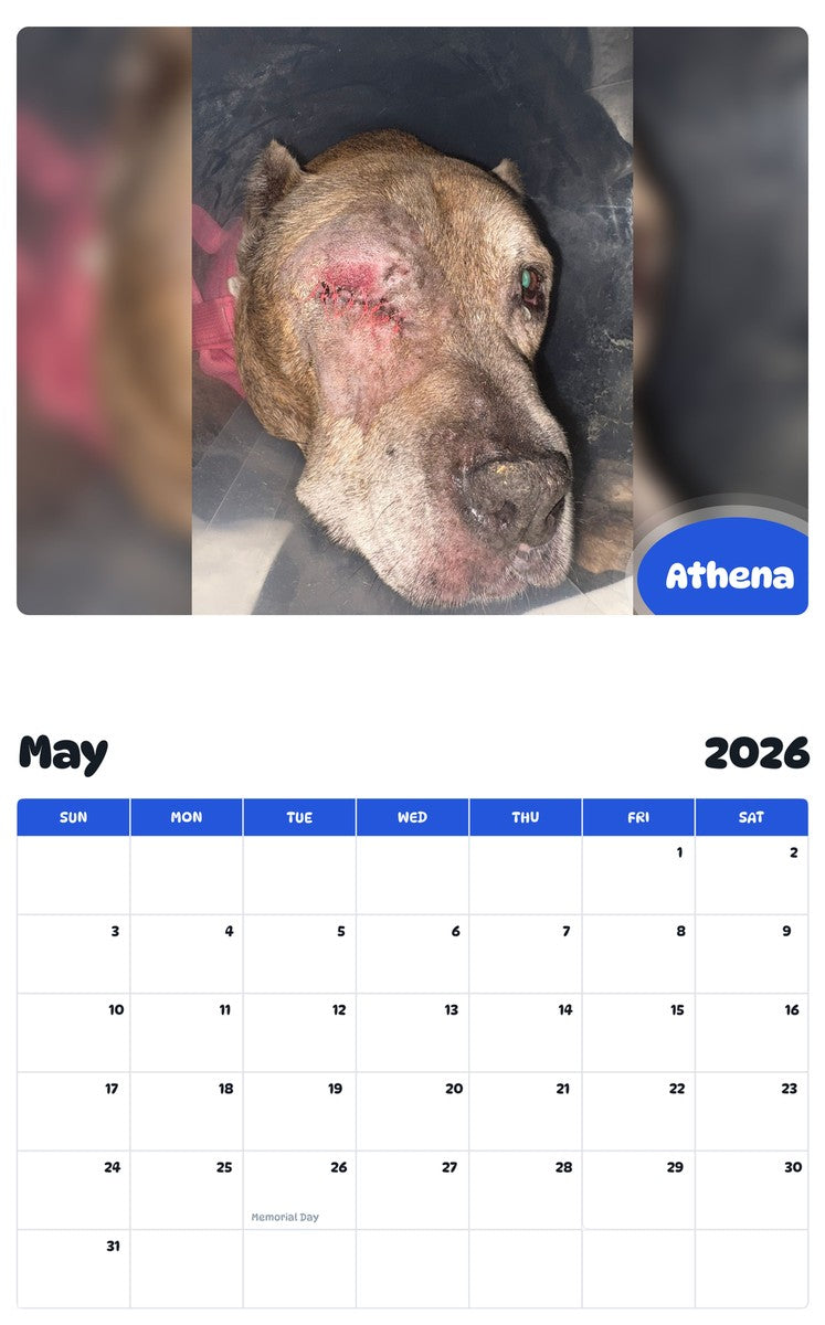 2026 - 2027 Athena - Pawidols Pet Calendar