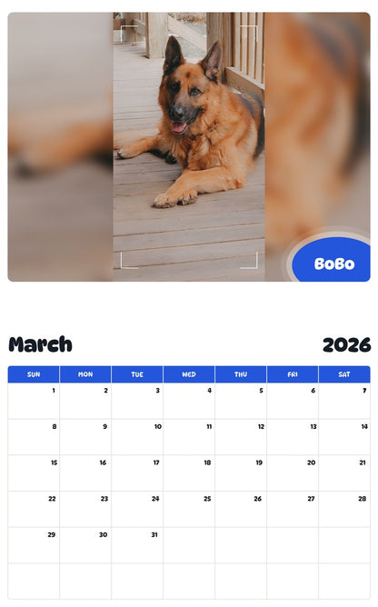 November 2025 - October 2026 BoBo - Pawidols Pet Calendar