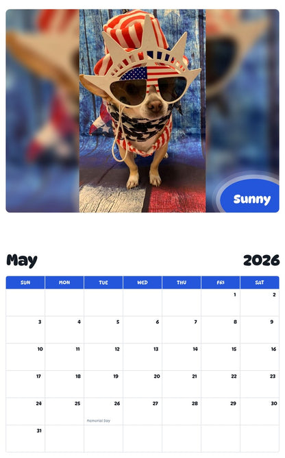 2026 - 2027 Sunny - Pawidols Pet Calendar
