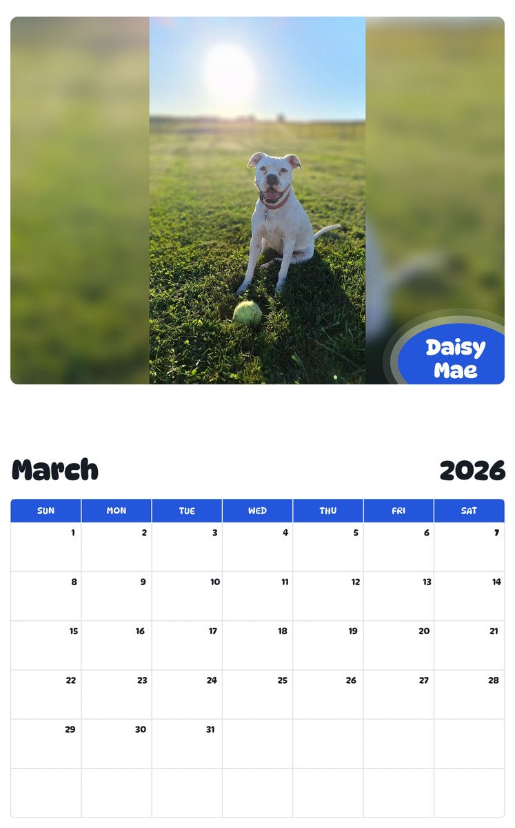 November 2025 - October 2026 Daisy Mae - Pawidols Pet Calendar