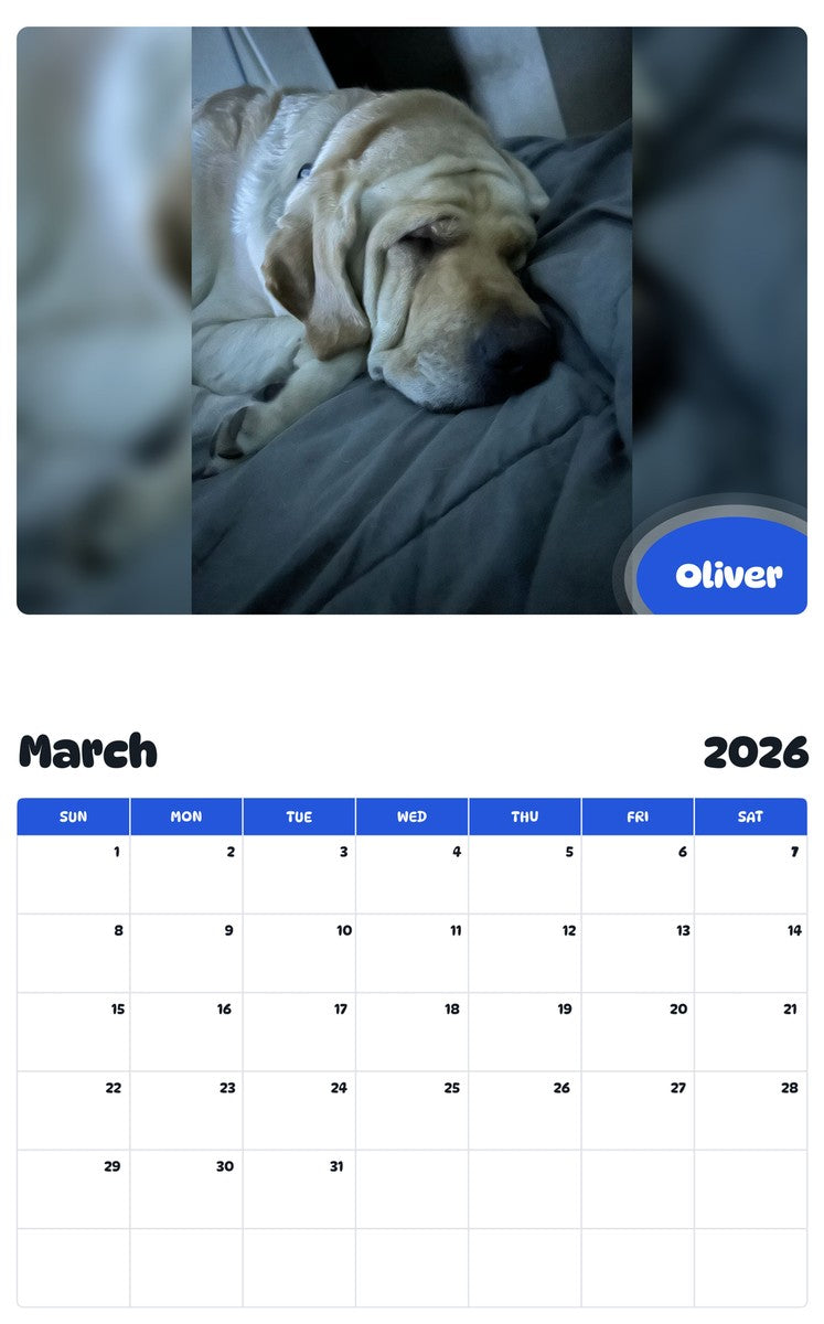 November 2025 - October 2026 Oliver - Pawidols Pet Calendar