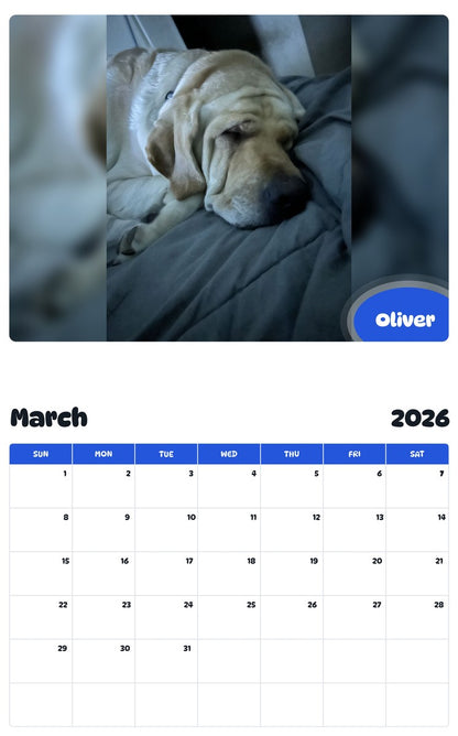 November 2025 - October 2026 Oliver - Pawidols Pet Calendar