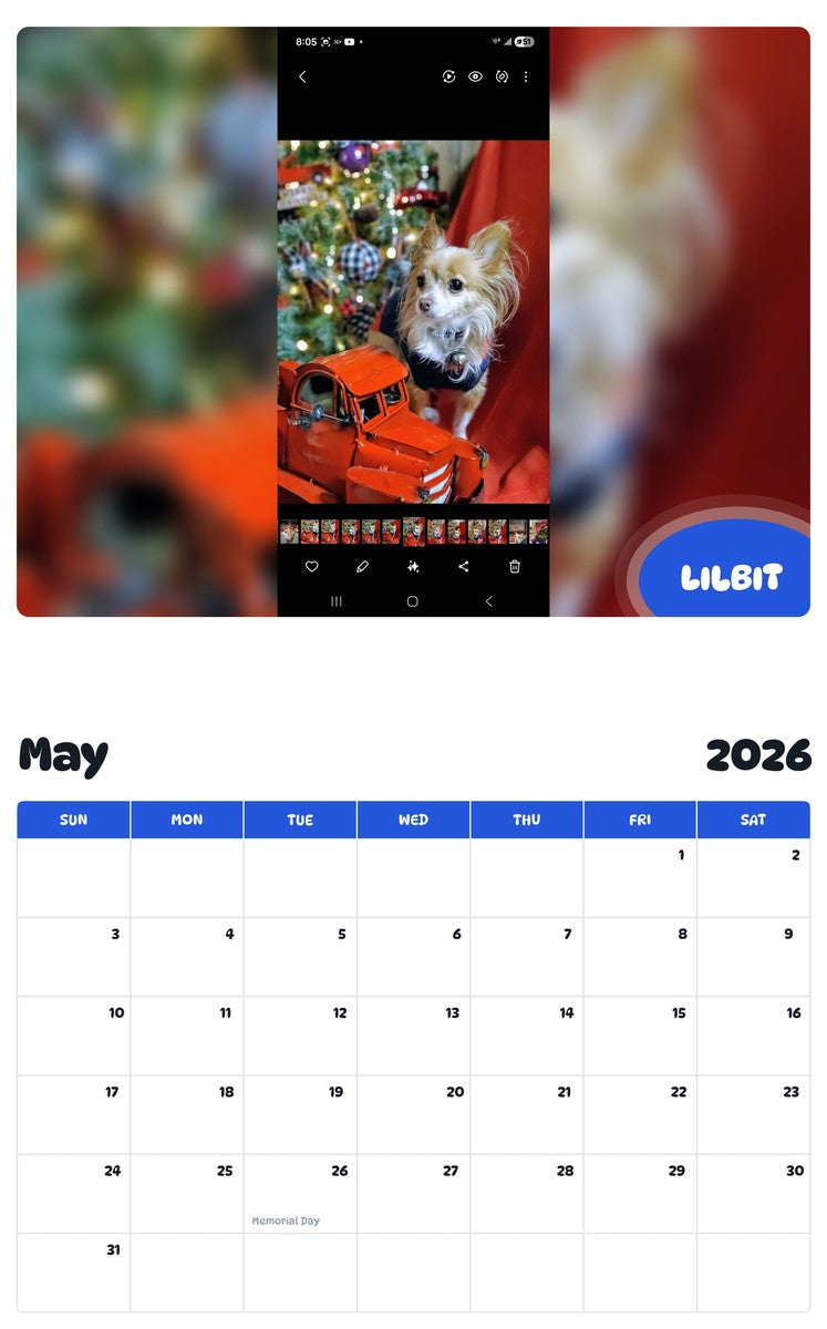 2026 - 2027 LILBIT - Pawidols Pet Calendar
