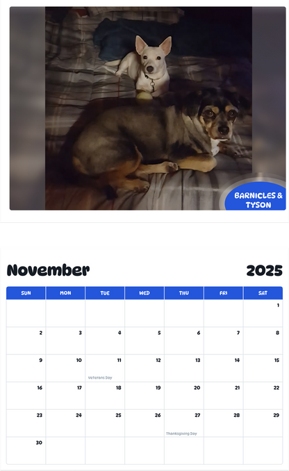 July 2025 - June 2026 Barnicles & Tyson - Pawidols Pet Calendar