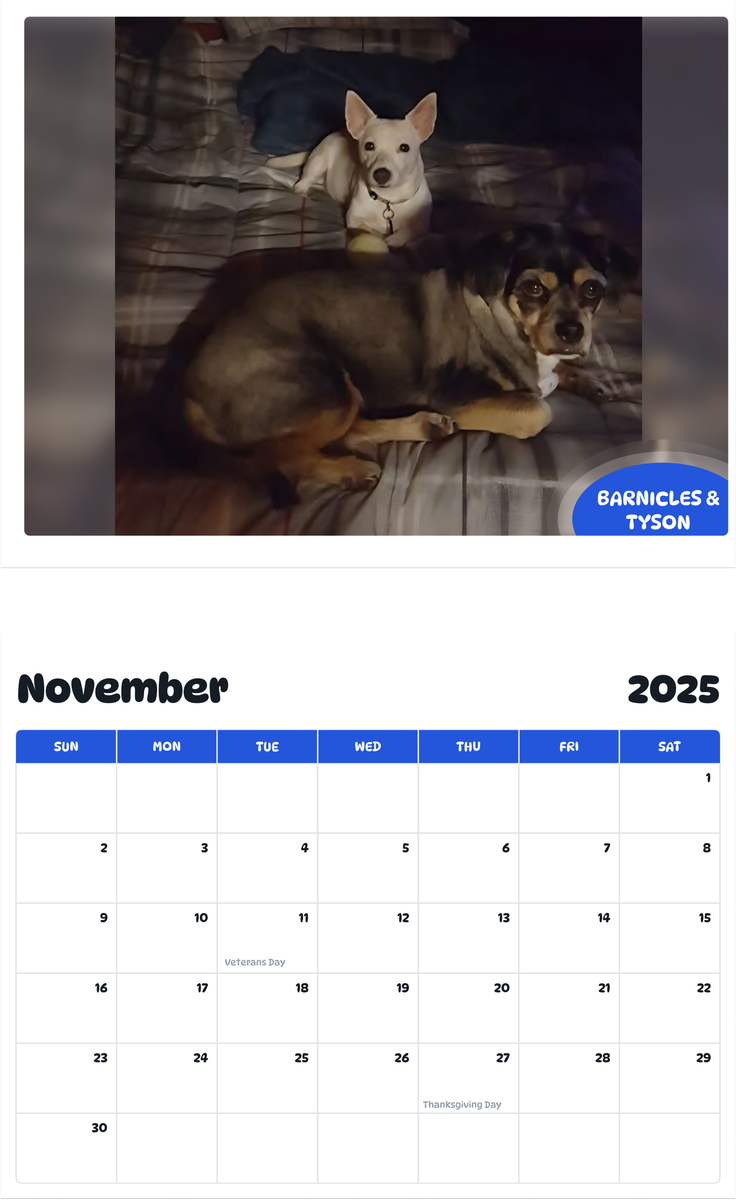 July 2025 - June 2026 Barnicles & Tyson - Pawidols Pet Calendar