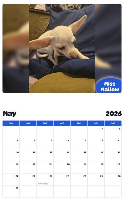 2026 - 2027 Miss Mallow - Pawidols Pet Calendar