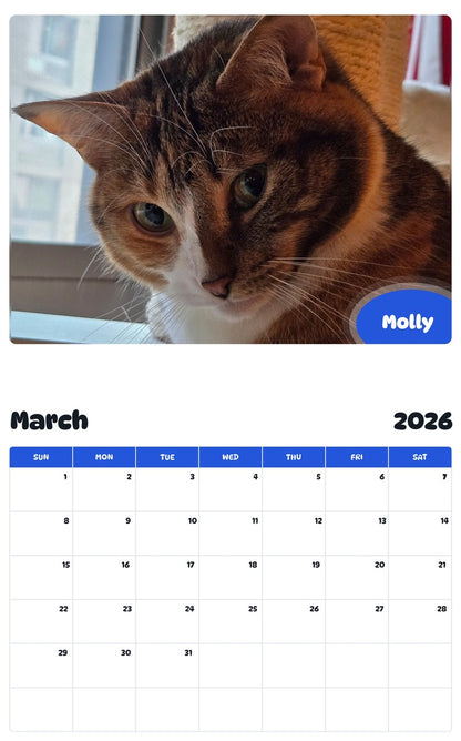 November 2025 - October 2026 Molly - Pawidols Pet Calendar