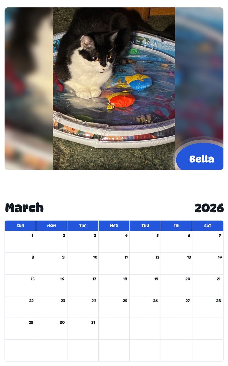 November 2025 - October 2026 Bella - Pawidols Pet Calendar