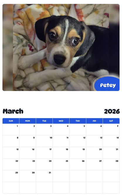November 2025 - October 2026 Petey - Pawidols Pet Calendar
