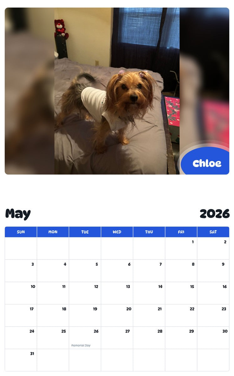 2026 - 2027 Chloe - Pawidols Pet Calendar