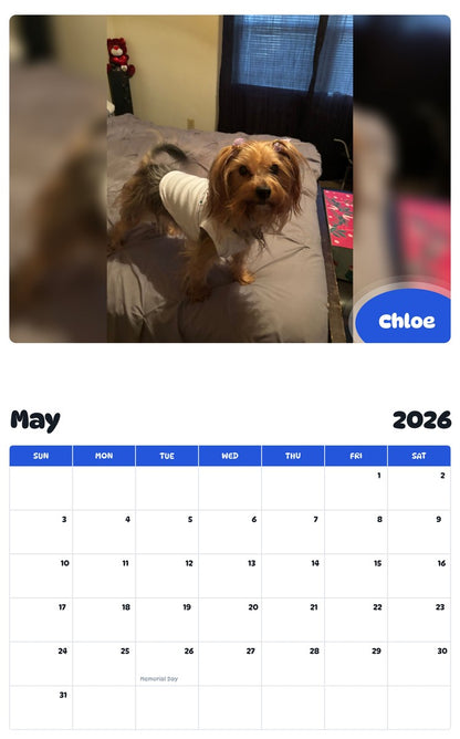 2026 - 2027 Chloe - Pawidols Pet Calendar