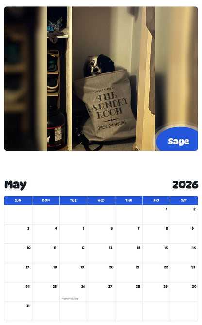 2026 - 2027 Sage - Pawidols Pet Calendar