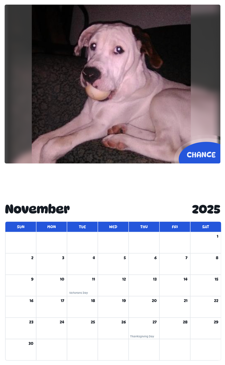July 2025 - June 2026 Chance - Pawidols Pet Calendar