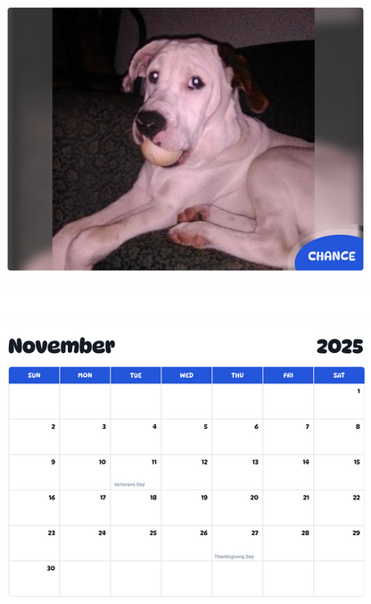 July 2025 - June 2026 Chance - Pawidols Pet Calendar