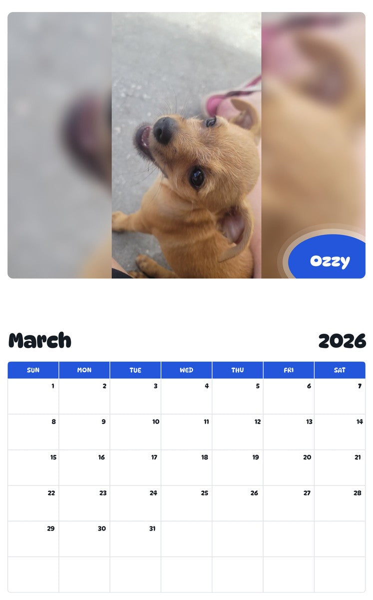 November 2025 - October 2026 Ozzy - Pawidols Pet Calendar