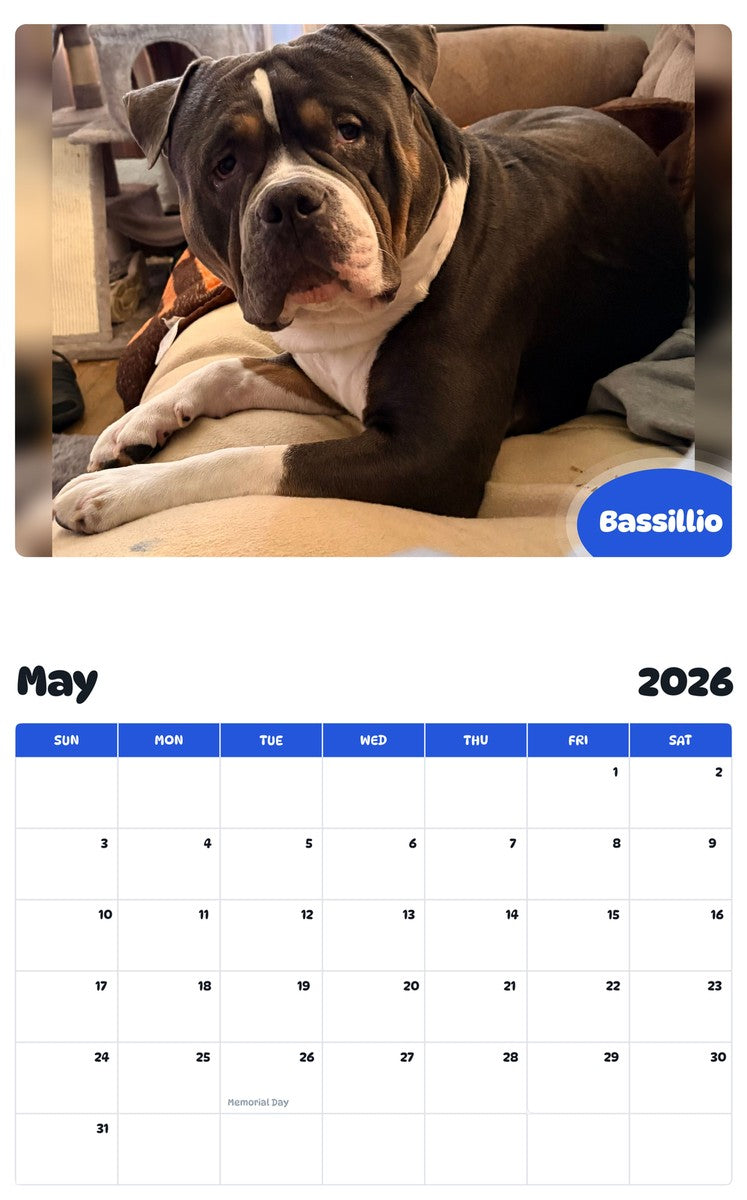 2026 - 2027 Bassillio - Pawidols Pet Calendar