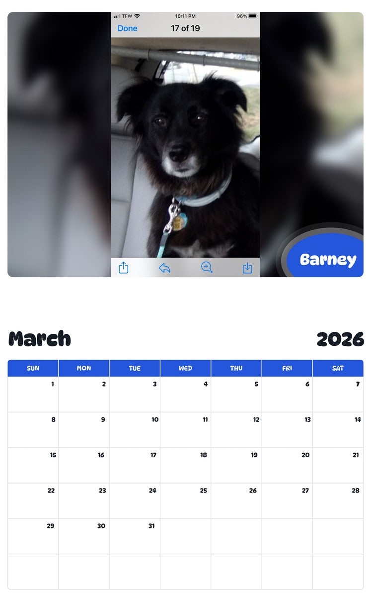 November 2025 - October 2026 Barney - Pawidols Pet Calendar