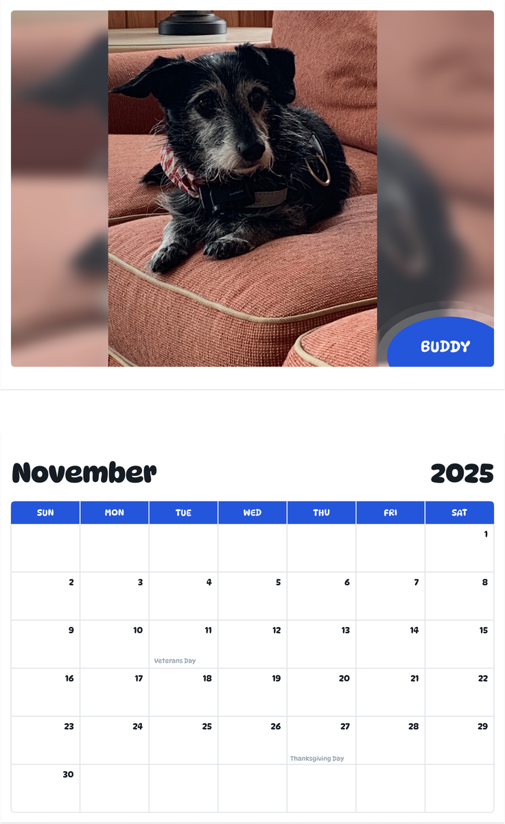 July 2025 - June 2026 Buddy - Pawidols Pet Calendar