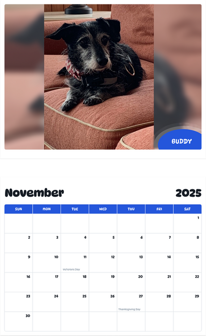 July 2025 - June 2026 Buddy - Pawidols Pet Calendar