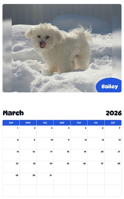 November 2025 - October 2026 Bailey - Pawidols Pet Calendar