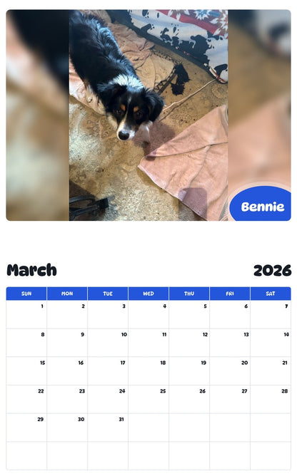 November 2025 - October 2026 Bennie - Pawidols Pet Calendar