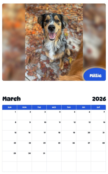 November 2025 - October 2026 Millie - Pawidols Pet Calendar