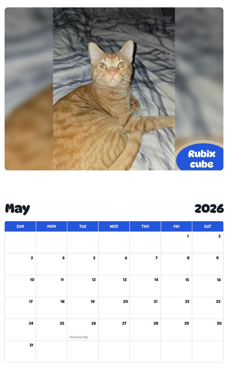 2026 - 2027 Rubix cube - Pawidols Pet Calendar