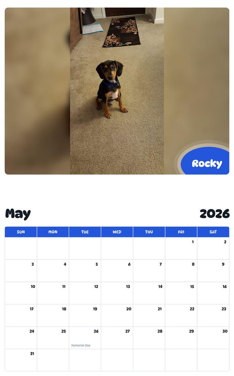 2026 - 2027 Rocky - Pawidols Pet Calendar