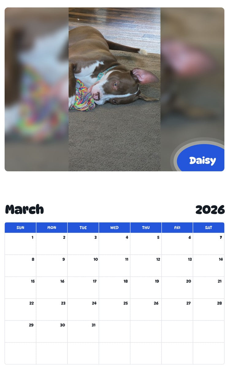 November 2025 - October 2026 Daisy - Pawidols Pet Calendar