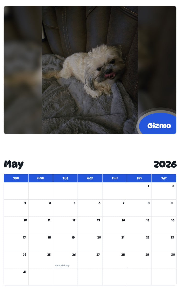 2026 - 2027 Gizmo - Pawidols Pet Calendar
