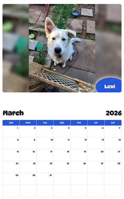 November 2025 - October 2026 Levi - Pawidols Pet Calendar