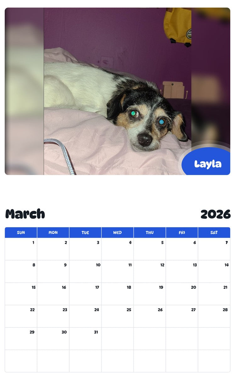 November 2025 - October 2026 Layla - Pawidols Pet Calendar