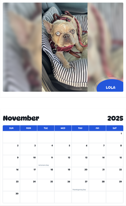 July 2025 - June 2026 Lola - Pawidols Pet Calendar