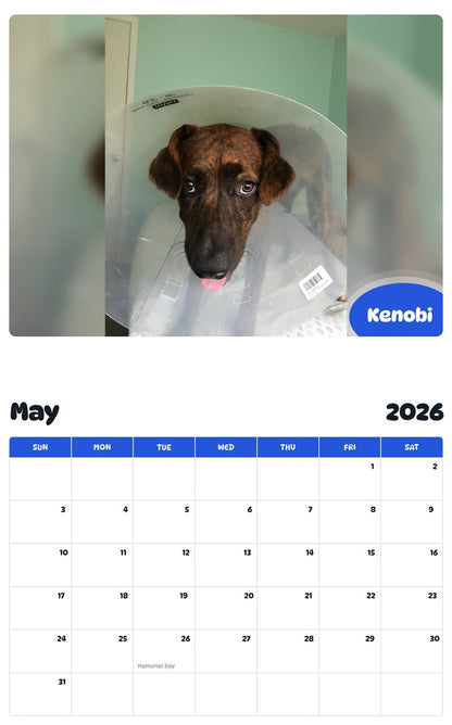 2026 - 2027 Kenobi - Pawidols Pet Calendar