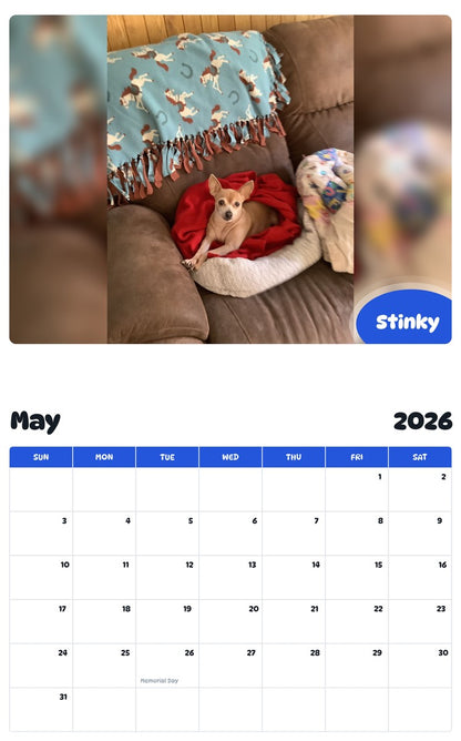2026 - 2027 Stinky - Pawidols Pet Calendar
