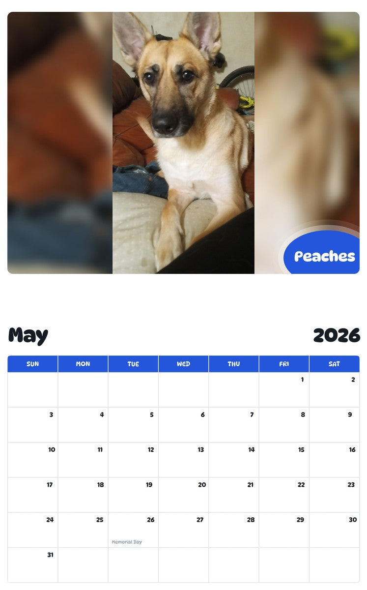 2026 - 2027 Peaches - Pawidols Pet Calendar