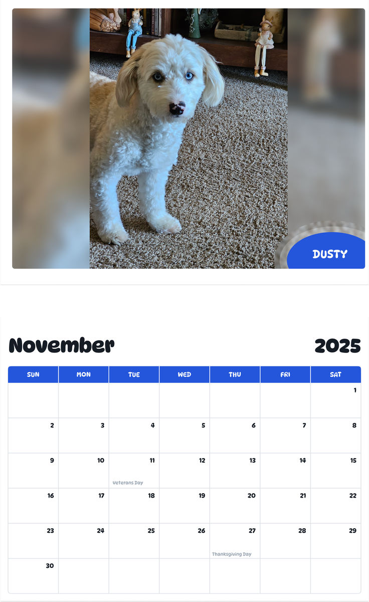 July 2025 - June 2026 Dusty - Pawidols Pet Calendar