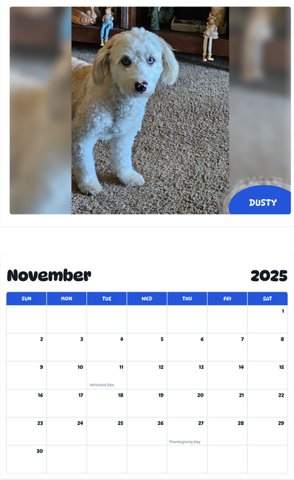 July 2025 - June 2026 Dusty - Pawidols Pet Calendar
