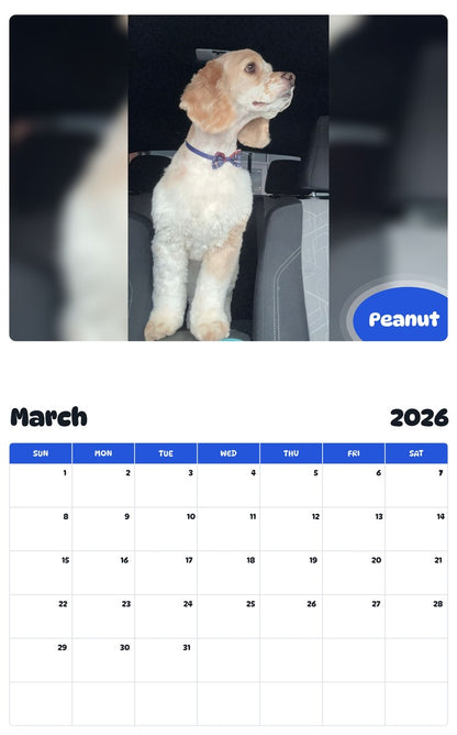 November 2025 - October 2026 Peanut - Pawidols Pet Calendar