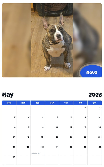 2026 - 2027 Nova - Pawidols Pet Calendar
