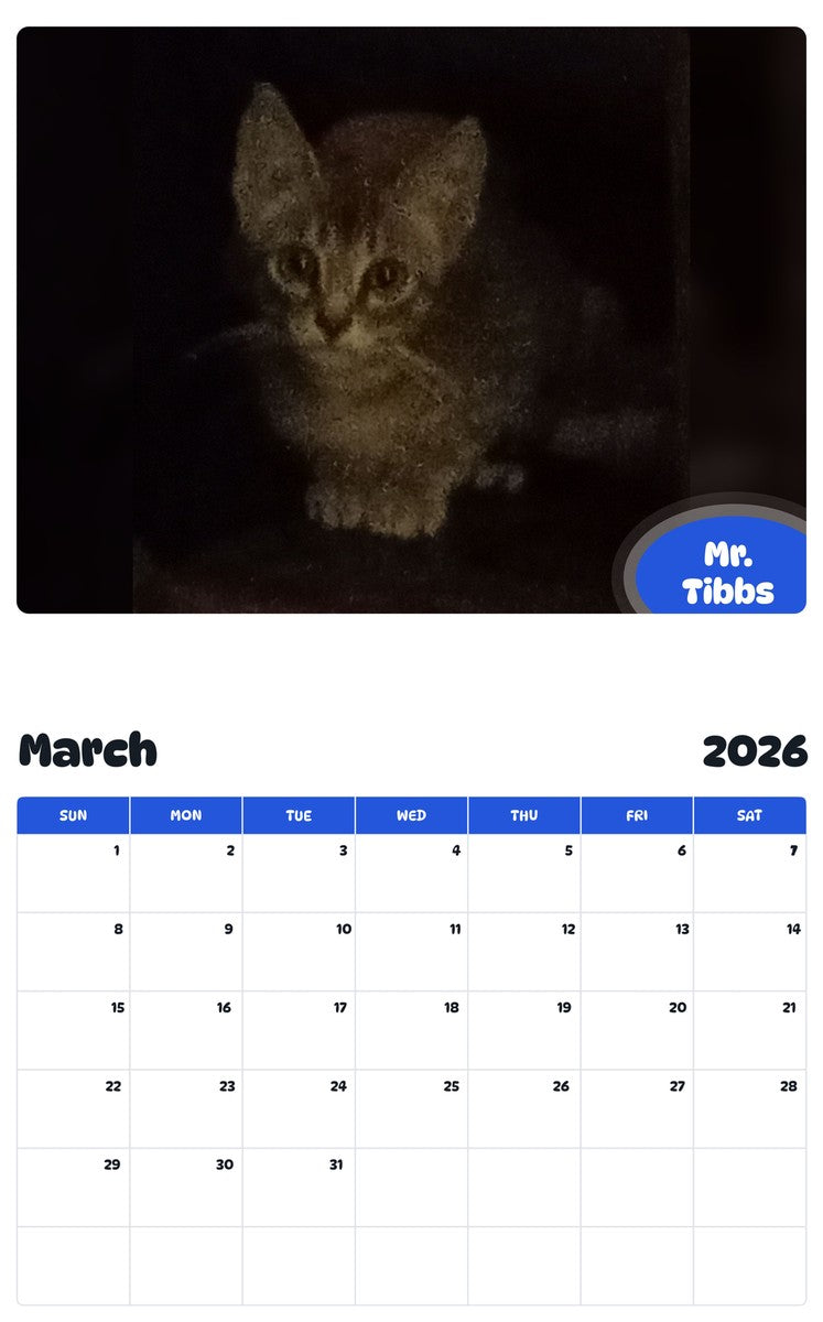November 2025 - October 2026 Mr. Tibbs - Pawidols Pet Calendar