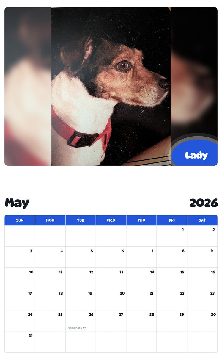2026 - 2027 Lady - Pawidols Pet Calendar