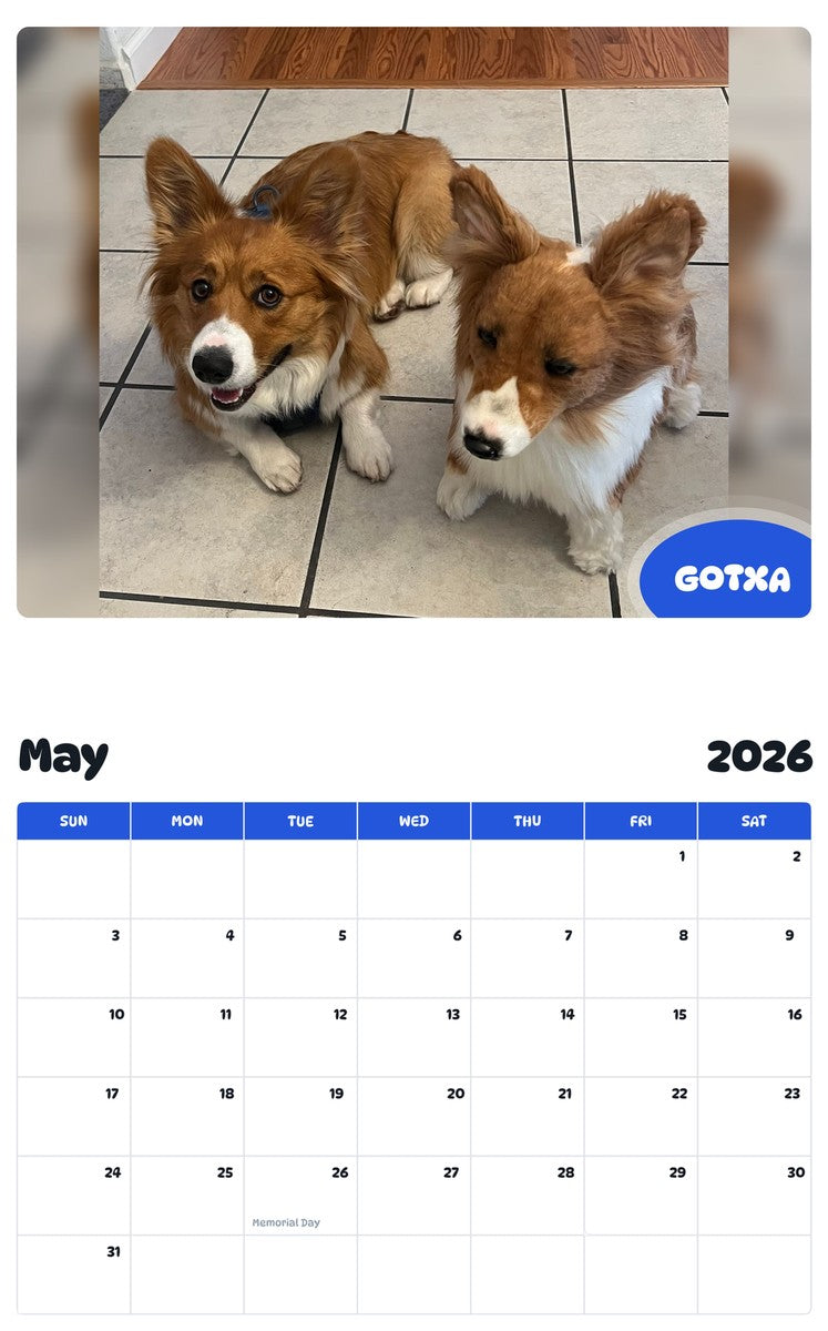 2026 - 2027 GOTXA - Pawidols Pet Calendar