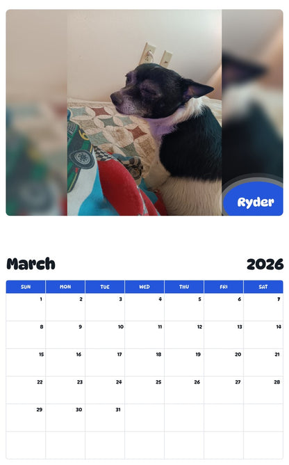 November 2025 - October 2026 Ryder - Pawidols Pet Calendar