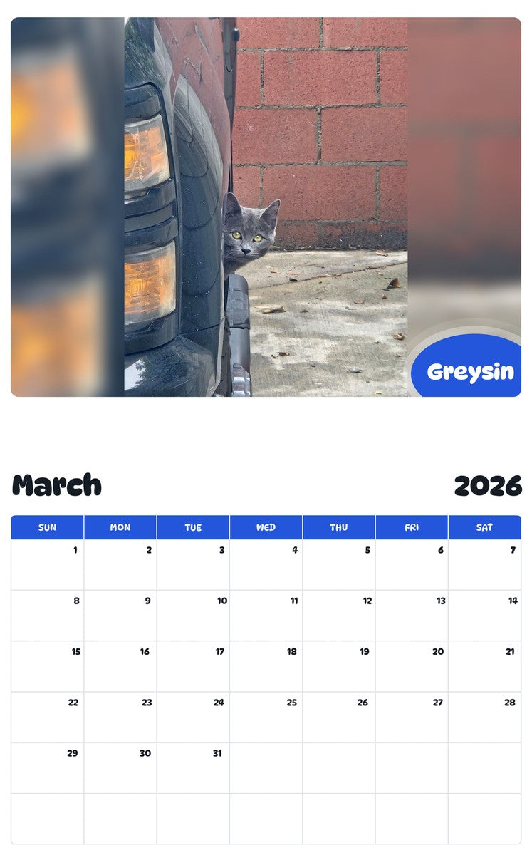 November 2025 - October 2026 Greysin - Pawidols Pet Calendar