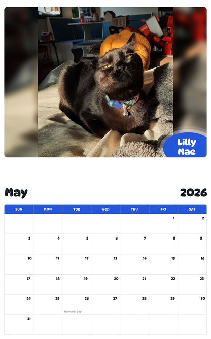 2026 - 2027 Lilly Mae - Pawidols Pet Calendar
